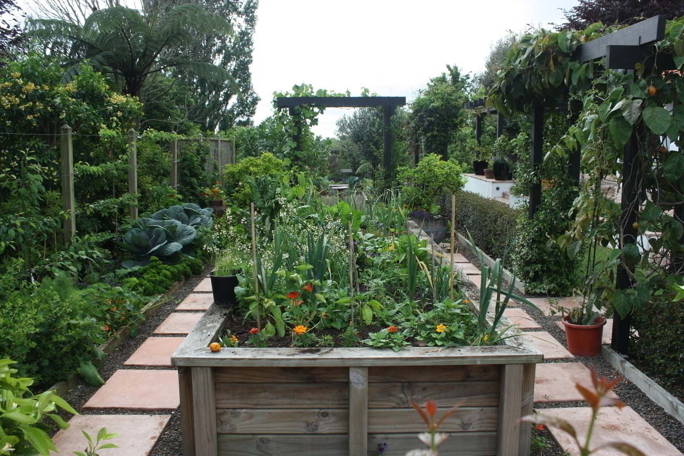More raised vegetable gardens and espeliered fruit